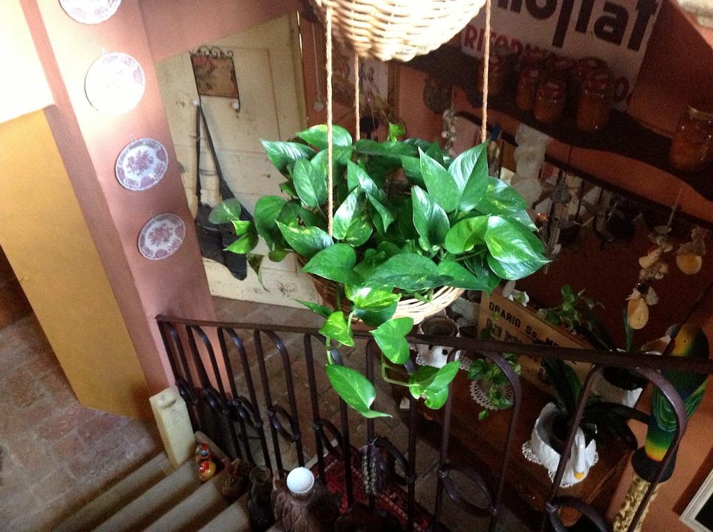 Al Porretto Bed & Breakfast Madonna della Provvidenza Ngoại thất bức ảnh